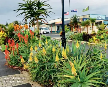  ??  ?? Colourful plantings in Rangiora Street.