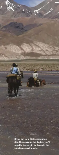  ??  ?? if you opt for a high-endurance ride like crossing the andes, you’ll need to be very fit for hours in the saddle over all terrain.