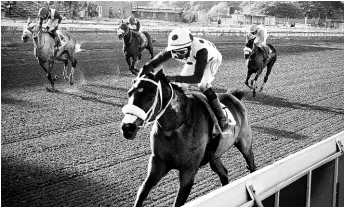  ?? ANTHONY MINOTT/FREELANCE PHOTOGRAPH­ER ?? KING ARTHUR ridden by Omar Walker wins the Lady Geeta trophy over six furlongs at Caymanas Park.