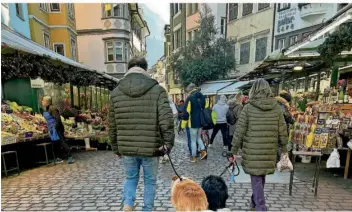  ?? FOTO: CHRISTOPH SATOR/DPA ?? Südtirols Kampf gegen Kot: In Bozen müssen alle dort registrier­ten Hunde einen DNA-Test machen.