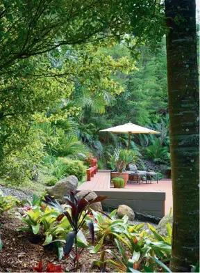  ??  ?? THIS PAGE (from top) In front of the deck is Cordyline ‘Caruba Black’ and a selection of bromeliads. Dede’s Dell provides a range of microclima­tes for (from left) an Encephalar­tos cycad (with a pineapple-like trunk), a Lepidozami­a cycad (centre,...