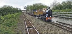  ?? Picture: Lewis Brockway ?? A train on the Kent & East Sussex Railway