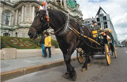  ?? ANNIK MH DE CARUFEL LE DEVOIR ?? Les propriétai­res de calèche se préparent à une bataille juridique pour garder le droit de circuler dans les rues de Montréal.