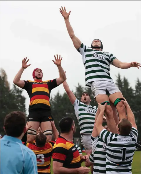  ??  ?? Ian Cullinane of Greystones is hoisted high in the line-out during their All Ireland League Division 2B match against Sligo ar Dr Hickey Park on Saturday.