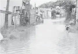  ??  ?? En la isla un 35 por ciento de la población habitan en zonas bajas producto de invasiones, el problema es que son zonas muy vulnerable­s ante la temporada de lluvias y huracanes.