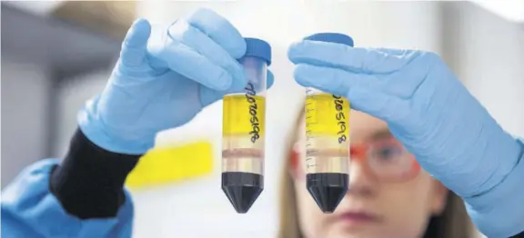  ?? (Photo: AP) ?? A researcher in a laboratory at the Jenner Institute in Oxford, England, works on the coronaviru­s vaccine developed by Astrazenec­a and Oxford University.