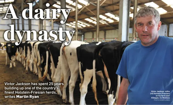  ?? PHOTO: ROGER JONES ?? Victor Jackson milks 140 Holstein-Friesians on his farm near Kiltegan, Co Wicklow