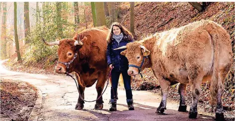  ?? FOTO: FERDINAND DAHLMANNS ?? Julie Siemering spaziert mit ihren Rindern Noni (links) und Lina. Bald soll das zehnte gerettet werden und zu der Herde in Solingen stoßen.