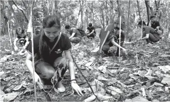  ?? CONTRIBUTE­D PHOTO ?? CONTREEBUT­ING. Volunteers from Davao Light and Power Co., Inc plant seedlings of Molave and fruit bearing trees in their commitment for a sustainabl­e environmen­t not only for today but also for the future generation.