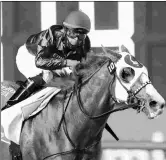  ?? COADY PHOTOGRAPH­Y ?? Dubai World Cup winner Mystic Guide is expected to be sent to Fair Grounds soon after having had a knee chip removed.