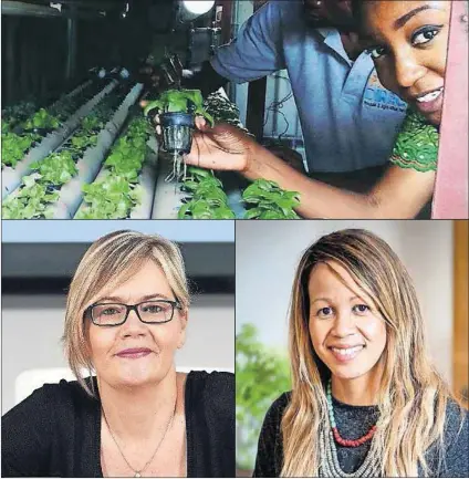  ?? Photos: Fresh Direct, FinFind, Clare Louise Thomas/Image Incu ?? Oluwayimik­a Angel Adelaja (top), Darlene Menzies (left) and Aisha Pandor (right) are all stand-out African entreprene­urs.