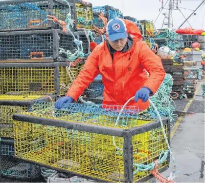  ?? KATHY JOHNSON • TRI-COUNTY VANGUARD ?? Baiting traps on the Lower Woods Harbour wharf.