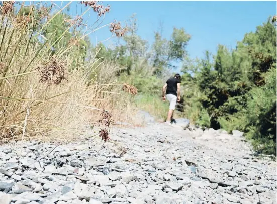  ?? XAVI JURIO ?? El río Siurana, afluente del Ebro, sufre un trasvase de aguas que deja secos buena parte del año algunos tramos, como el de Gratallops