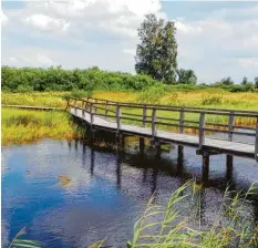  ?? Foto: Solcher ?? Über Bohlensteg­e geht es auf dem vier Kilometer langen Erlebniswe­g durch das Do   naumoos bei Leipheim