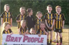  ??  ?? Enniskerry under-7s at the Kilcoole Go Games blitz last weekend.