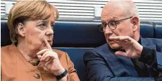  ?? Foto: Bernd von Jutrczenka, dpa ?? Gutes Team: Angela Merkel mit Volker Kauder.