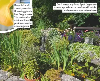  ??  ?? Beautiful and sweetly scented flowering plants like Brugmansia ‘Herzenbruc­ke’ are ideal for a position close to a seating area Don’t waste anything. Spoil dug out to create a pond can be used to add height and create contours elsewhere