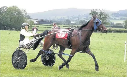  ?? Maureen Lloyd ?? > Immortal Breeze wins the Novice heat of the Kington and Vale of Arrow trotting races on Saturday