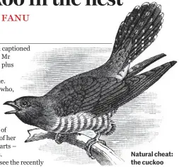  ??  ?? Natural cheat: the cuckoo