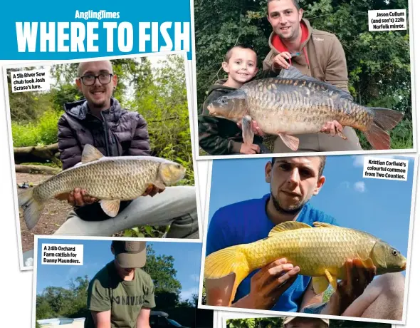  ??  ?? A 5lb River Sow chub took Josh Scrase’s lure.
Jason Cullum (and son’s) 22lb Norfolk mirror.
Kristian Corfield’s colourful common from Two Counties.