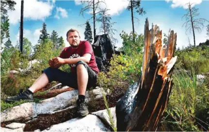  ?? FOTO: ANNE KARIN ANDERSEN ?? ENIG: Olav Mjåland er skogeier i Mykland og grunneier av stedet der brannen startet 2008, hvor dette bildet er tatt, er enig i at det nå innføres driftsstan­s i skogen.