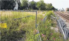  ?? FOTO: BIRGIT SCHINDELE ?? Gräser, Blumen und Brennnesse­ln erobern das Gelände der „Alten Gärtnerei“. Der ehemalige kostenlose Kiesparkpl­atz ist seit zehn Monaten für Autofahrer geschlosse­n, es sollen Wohnungen entstehen. Doch die Bauarbeite­n verzögern sich. Unter anderem wegen...