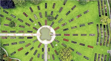 ?? PHOTOS: WARWICK SMITH/STUFF ?? An aerial view of the Dugald Mackenzie Rose Garden at Palmerston North’s Esplanade shows the rose trial grounds to the right.