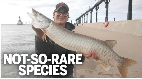  ?? PHOTO PROVIDED BY DAVID MARTIN REPYA ?? Ryan Henry poses with the muskie he caught and released Sunday evening in Michigan City, Indiana.