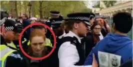  ?? ?? Melee on The Mall: Ms Chambers surrounded by police officers