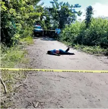  ??  ?? En la zona de la Chontalpa el día de ayer, fueron abatidos por disparos de arma de fuego un total de seis HOMBRES/CORTESÍA