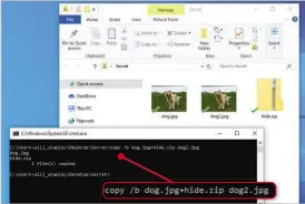  ??  ?? The file dog2.jpg might look like a normal photo, but it’s got another file hidden inside