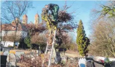  ?? FOTO: SJ ?? Seit 30 Jahren schneidet die Abteilung Rindelbach der Ellwanger Feuerwehr ehrenamtli­ch die Bäume auf dem Friedhof Schönenber­g.