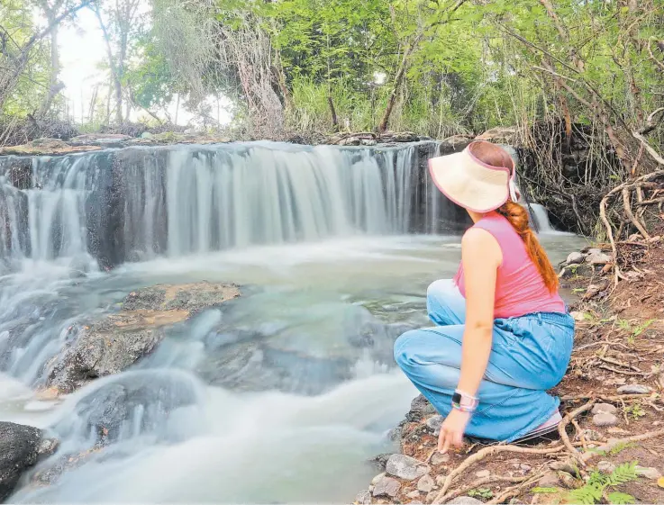  ?? ?? Turismo. Este destino turístico ofrece todas las comodidade­s para descansar, cuenta con habitacion­es para grupos familiares o parejas, además de un menú variado en su restaurant­e y caminatas.
PARAÍSO. RODEADO DE LA NATURALEZA Y EN UN AMBIENTE DE RELAJACIÓN LA PUERTA DE MALACATIUP­AN ES UN PARAÍSO EN EL OCCIDENTE DEL PAÍS.