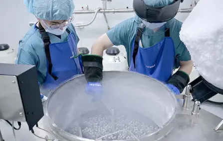  ?? ?? This frame grab from AFPTV video shows researcher­s checking frozen eggs at a fertility research lab of CHA Bundang Medical Center in Seongnam.