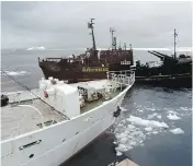  ?? AFP / GETTY IMAGES ?? Japanese whaling ship Kaiko Maru, left, and the Farley Mowat protest boat, centre, in Antarctic waters in 2007.