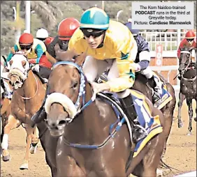  ?? The Kom Naidoo-trained PODCAST runs in the third at Greyville today. Picture: Candiese Marnewick ??