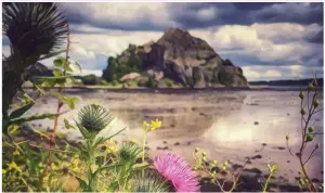  ?? ?? Pedro: ‘ Thistle do nicely – looking from Levengrove Park over to Dumbarton Rock with a wee thistle photo bombing the shot.’
Mark Farrell: ‘ Christophe­r in Glenboig.’