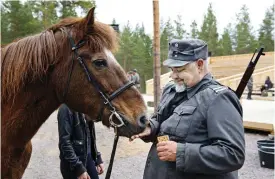  ??  ??  TåLMODIG STATIST. Finnhästen Kirppu får knäckebröd av Tommy Haakana under en paus i övningarna. Haakana spelar underserge­ant Mäkilä, som efter sega förhandlin­gar går med på att ge sin kollega Hietanen en strömming för att kurera dennes svåra baksmälla.