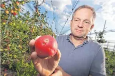  ?? FOTO: KARL-JOSEF HILDENBRAN­D/DPA ?? Werner Leibinger, Betriebsle­iter des Kompetenzz­entrums Obstbau Bodensee, zeigt einen von Hagel beschädigt­en Apfel: Unwetter, Stürme und Hagelschlä­ge wirken sich auf die Obsternte aus.