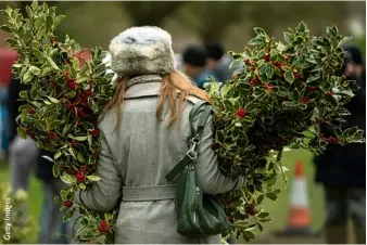  ??  ?? A buyer leaves the annual Tenbury Wells auction with her bundles of holly