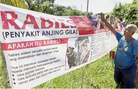  ??  ?? Informing the public: A villager reading a rabies awareness banner near Kampung Paon Sungai Rimu Bakung in Serian.