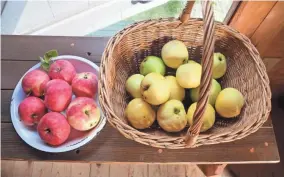  ?? LYNETTE L. WALTHER ?? Apples for making cider, apples for baking, apples for drying, apples for storing over the long and cold winter are just a few of the many heirloom apples that once existed.