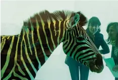  ?? Foto: Soeren Stache, dpa ?? Vorsicht vor Formaldehy­d! Museumsbes­ucherinnen betrachten das Kunstwerk „The incredible journey“von Damien Hirst, ein Zebra, das in einem Glasbehält­er in einer Formaldehy­d Lösung konservier­t ist.