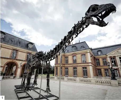  ?? ?? 1. Surnommé Vulcain, le fossile exposé en France comprend plus de 300 os.