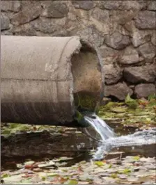  ??  ?? The water that leaves our sinks eventually ends up in rivers, lakes and the sea - try not to pollute them with cleaners and chemicals.