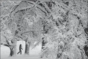  ?? The Associated Press ?? LOOSE PARK: A person walks past snow-covered trees in Loose Park on Sunday in the aftermath of a winter storm that dropped more than 8 inches of snow in the Kansas City, Mo., area.