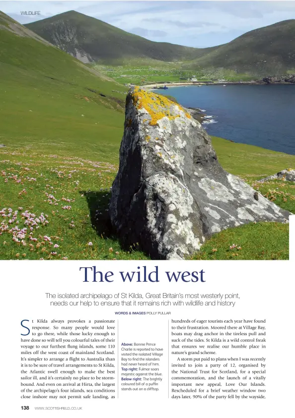  ??  ?? Above: Bonnie Prince Charlie is reported to have visited the isolated Village Bay to find the islanders had never heard of him.
Top right: Fulmar soars majestic against the blue. Below right: The brightly coloured bill of a puffin stands out on a...