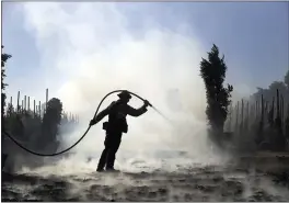  ?? MARCIO JOSE SANCHEZ — THE ASSOCIATED PRESS ?? Morgan Clark, a firefighte­r with the Oxnard Fire Department, hoses down hot spots created by the Easy Fire on a farm in Simi Valley on Wednesday.