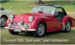  ??  ?? Triumph TR3: “Just yum,” says companion