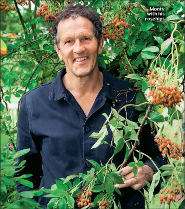  ??  ?? Monty with his rosehips